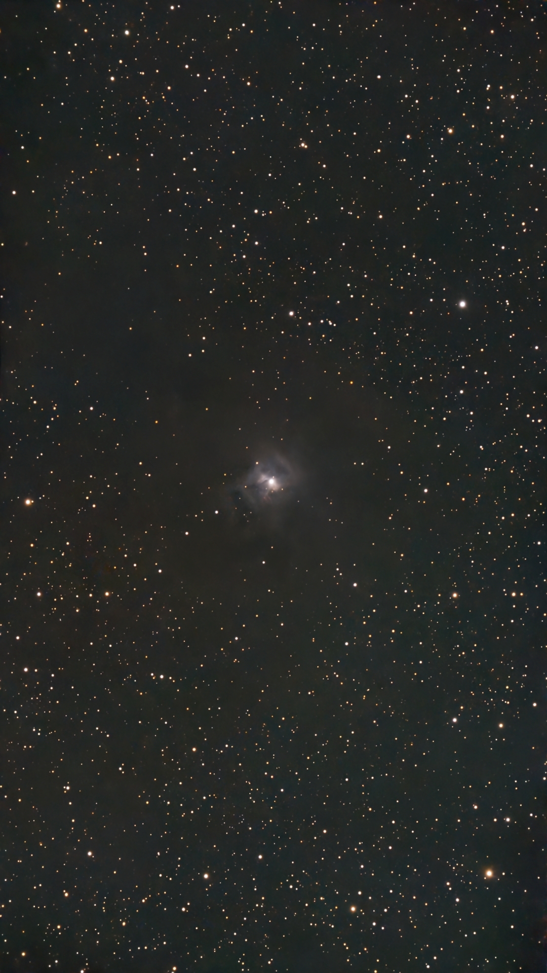 Image captured on 11-03-2025.
