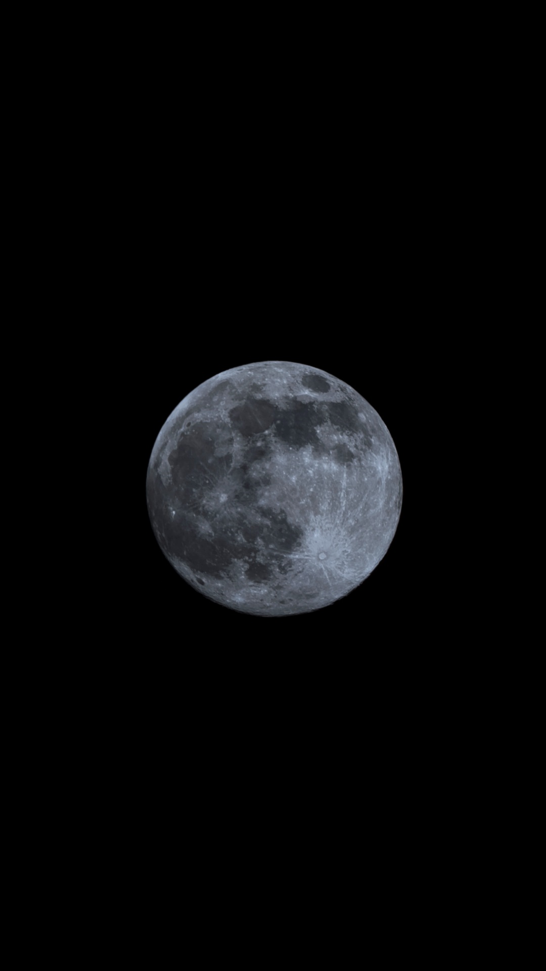 Image was captured on 11-04-2025.