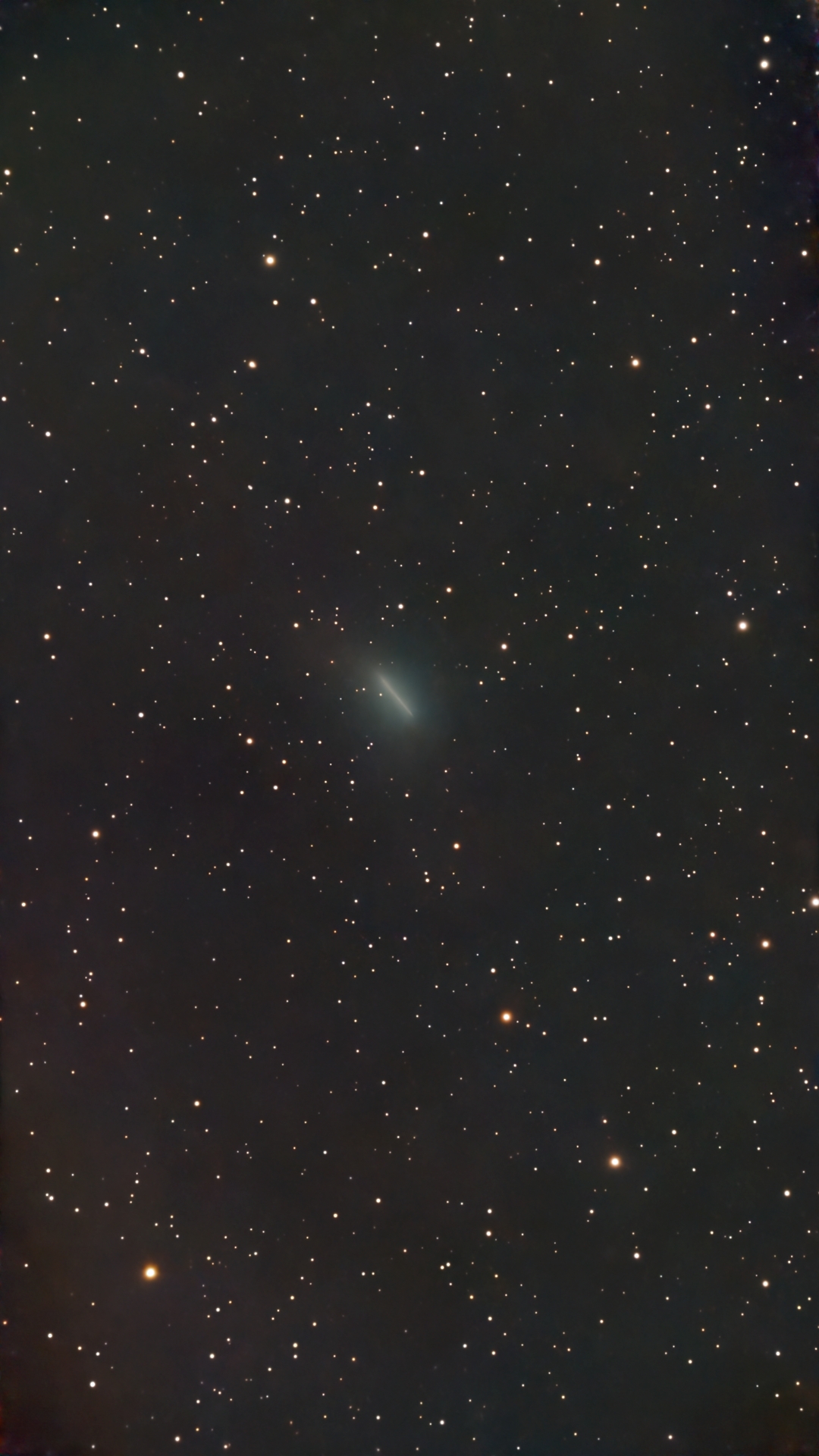 Image captured on 11-05-2025.