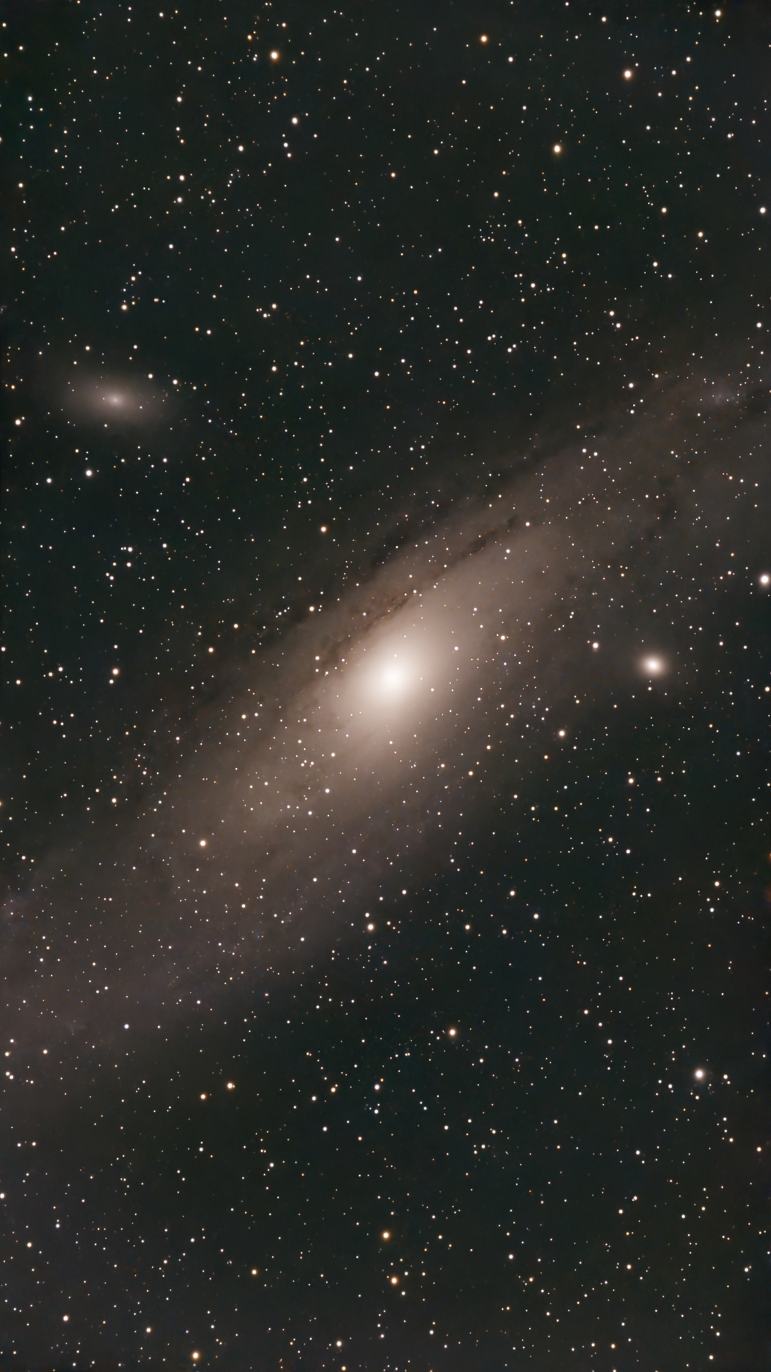 Image captured on 11-07-2025.
