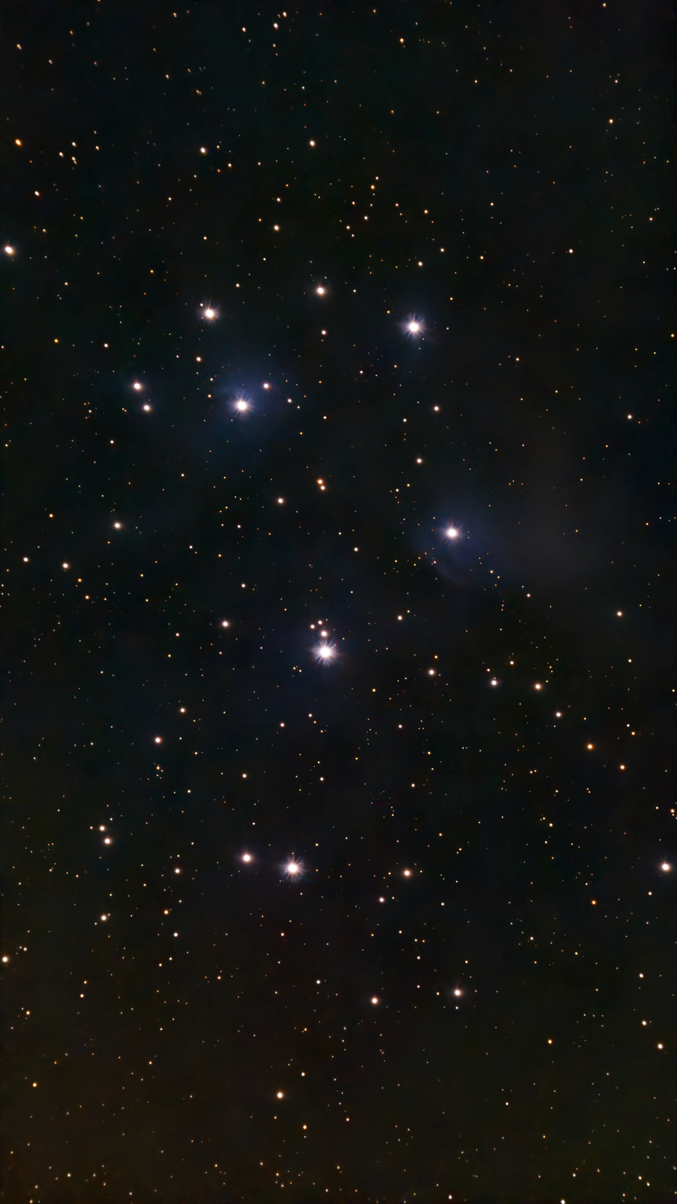 Image captured on 11-09-2025.