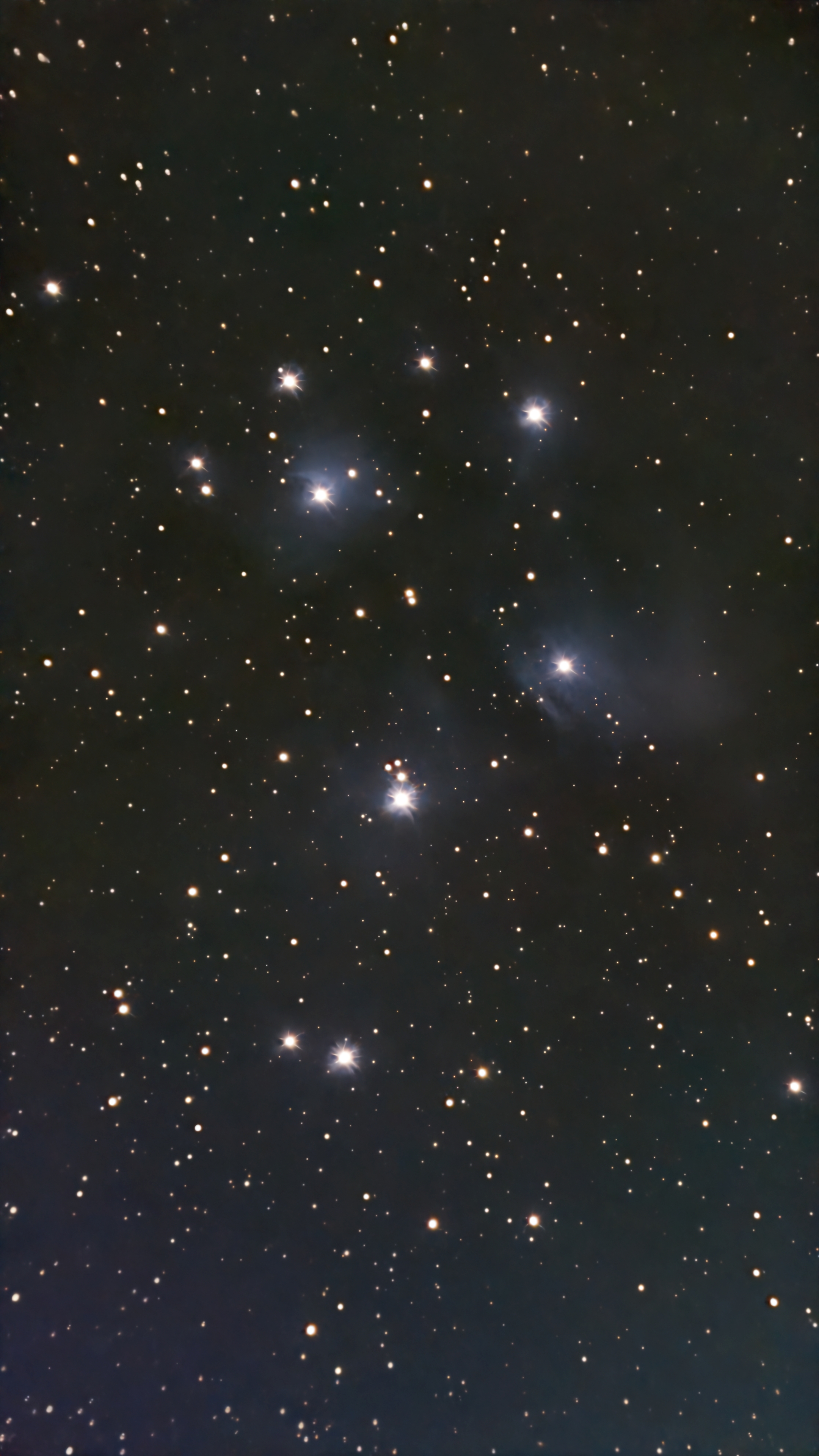 Image captured on 11-09-2025.