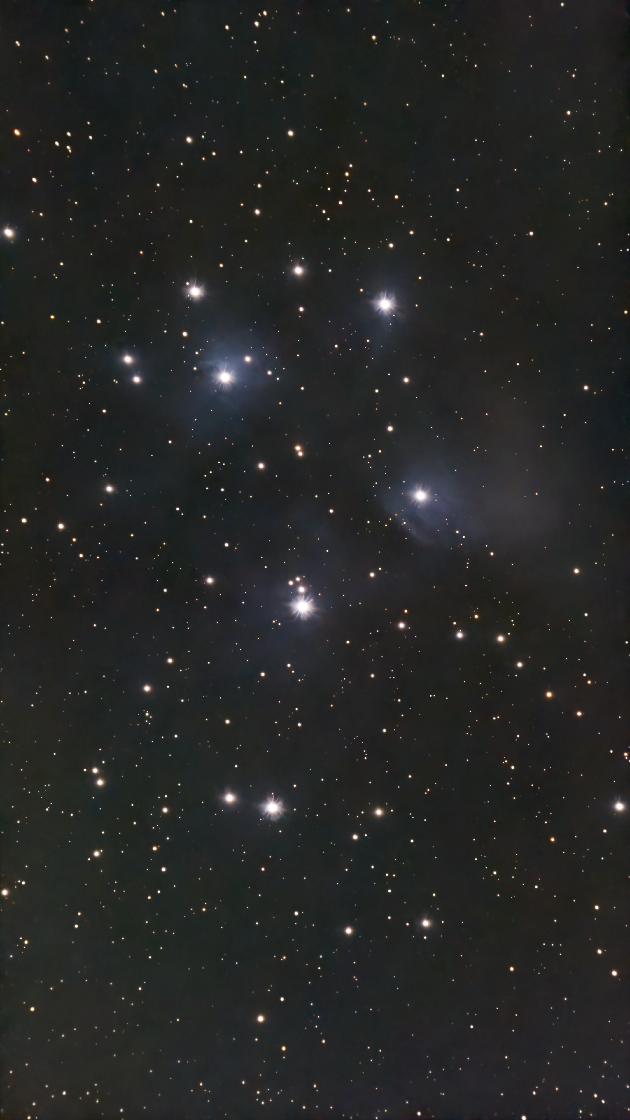 Image captured on 11-09-2025.