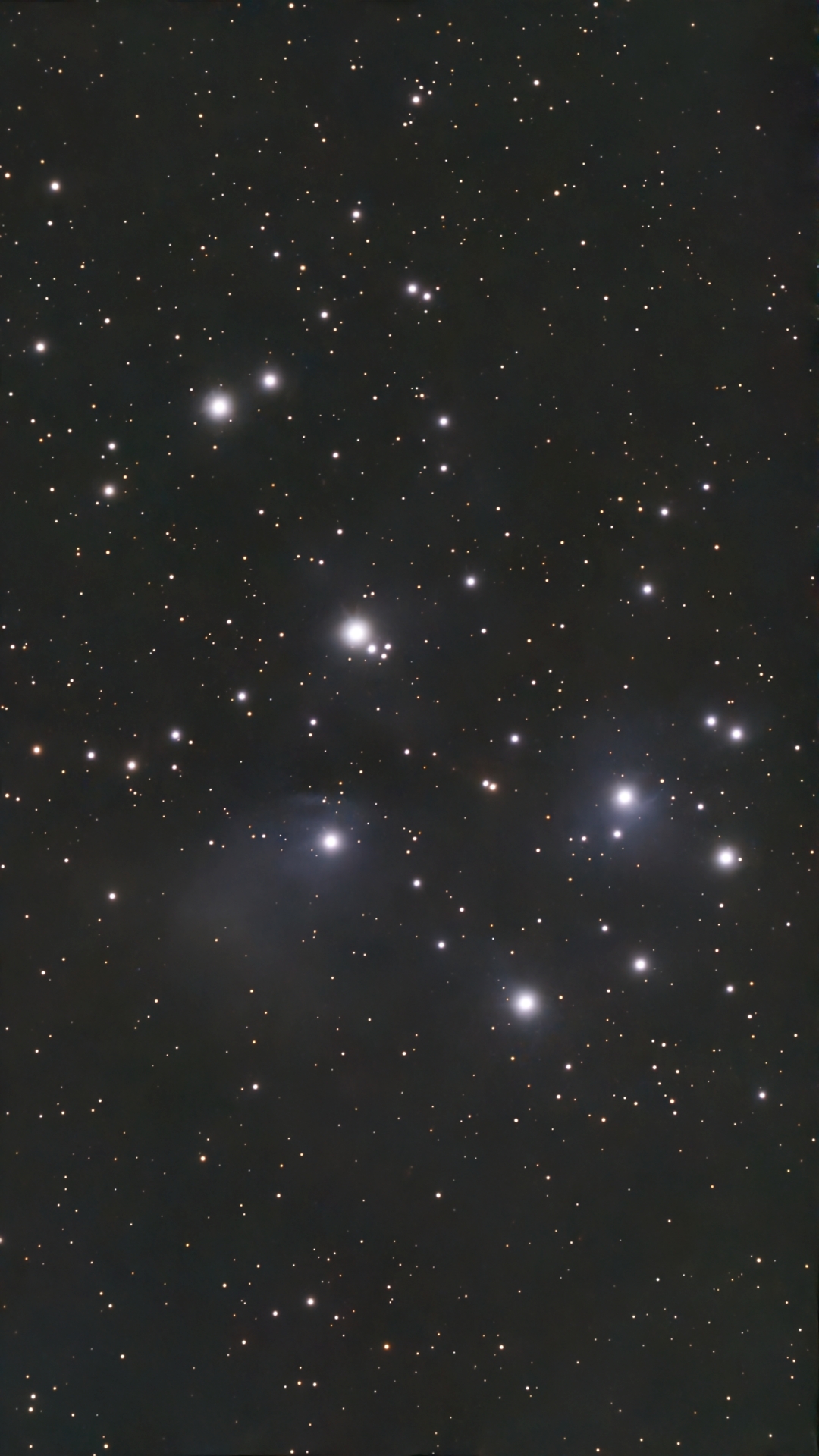 Image captured on 10-01-2025.